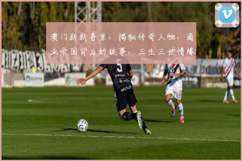 澳门新新普京，揭秘传奇人物，商业帝国背后的故事，三生三世情缘，一网打尽