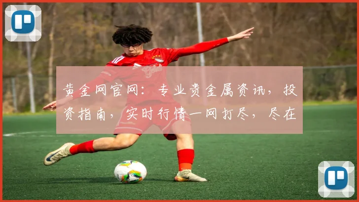 黄金网官网：专业贵金属资讯，投资指南，实时行情一网打尽，尽在黄金网官网