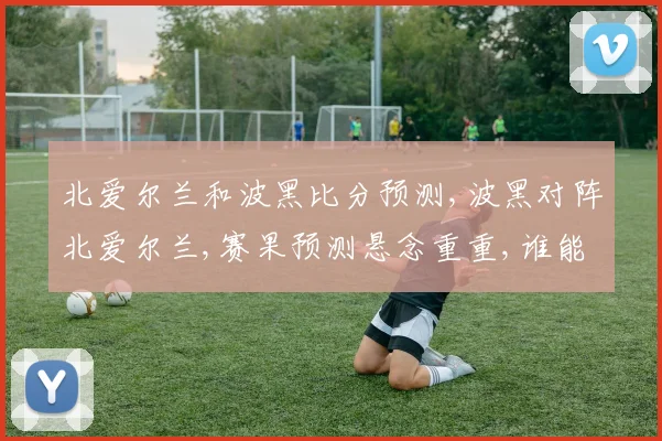 北爱尔兰和波黑比分预测,波黑对阵北爱尔兰,赛果预测悬念重重,谁能脱颖而出